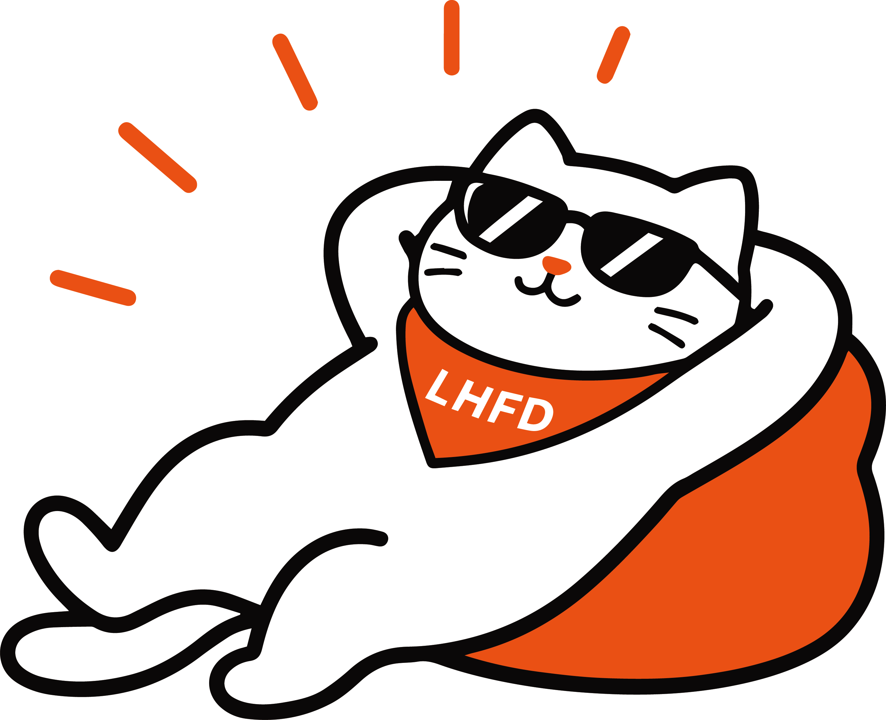 戴墨镜休息的 LHFD 猫咪
